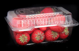 重庆宏冠包装制品分公司 专业水果吸塑泡壳供应商